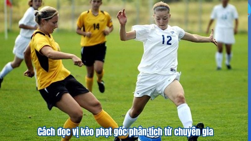 Kèo Phạt Góc Là Gì? Kinh Nghiệm Phân Tích Từ Chuyên Gia VZ99 4 Cách đọc vị kèo phạt góc phân tích từ chuyên gia