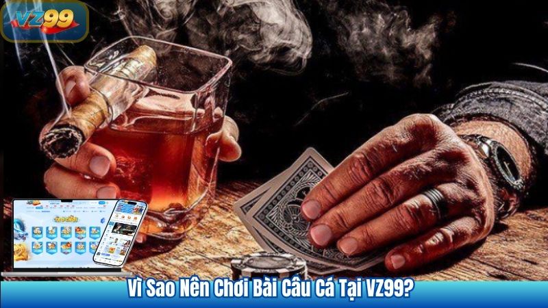 Khám Phá Game Bài Câu Cá Đầy Thử Thách Tại VZ99 4 Vì Sao Nên Chơi Bài Câu Cá Tại VZ99?