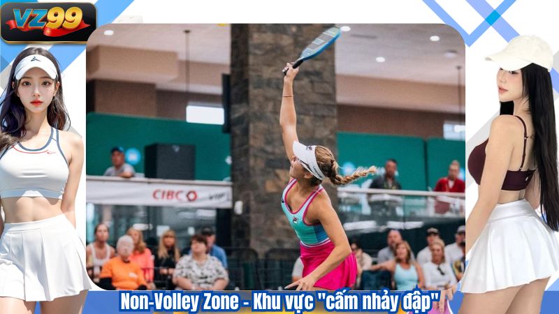 Non-Volley Zone – Khu vực "cấm nhảy đập"