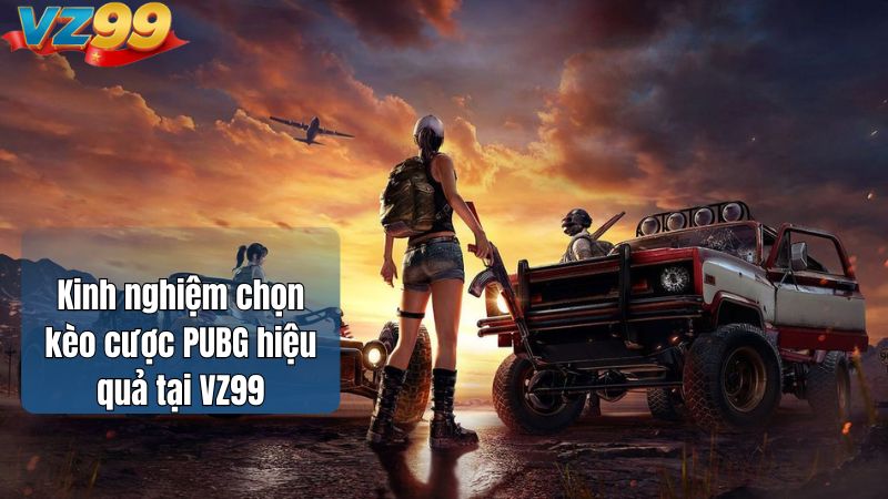 Kèo cược PUBG tại VZ99 - Hướng dẫn chơi & mẹo thắng lớn 2026 4 Kinh nghiệm chọn kèo cược PUBG hiệu quả tại VZ99